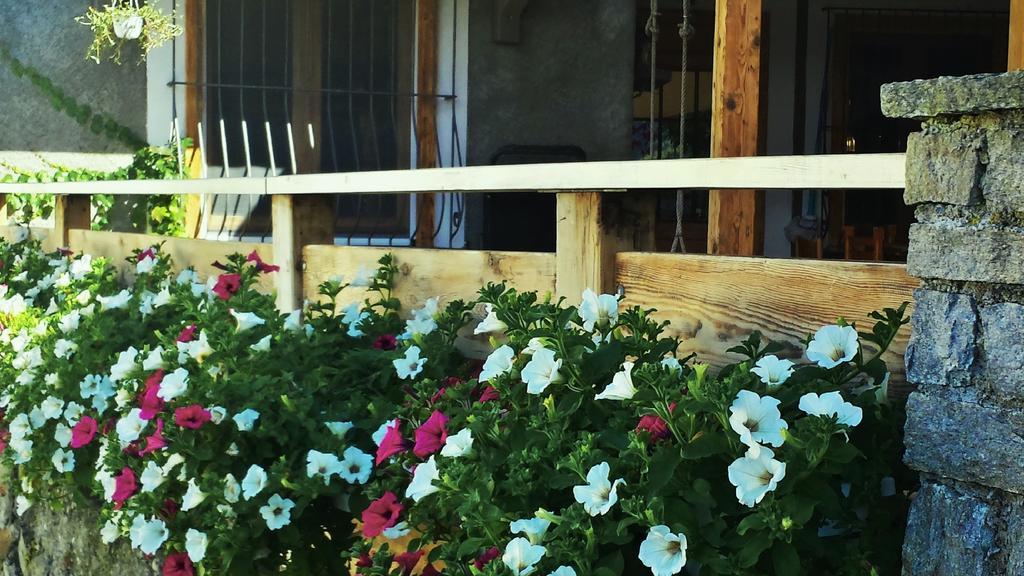 Appartamento Le Chalet 알보사기아 외부 사진